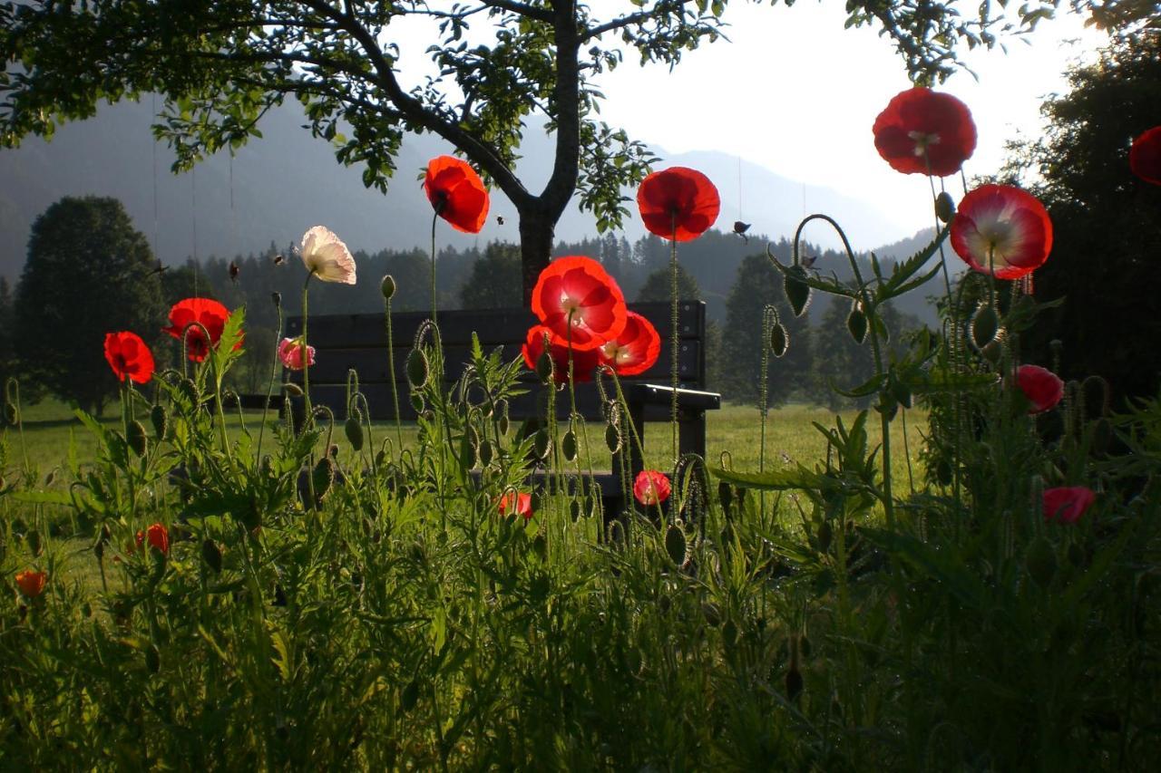 Pension Moeslehnerhof Ramsau am Dachstein Zewnętrze zdjęcie
