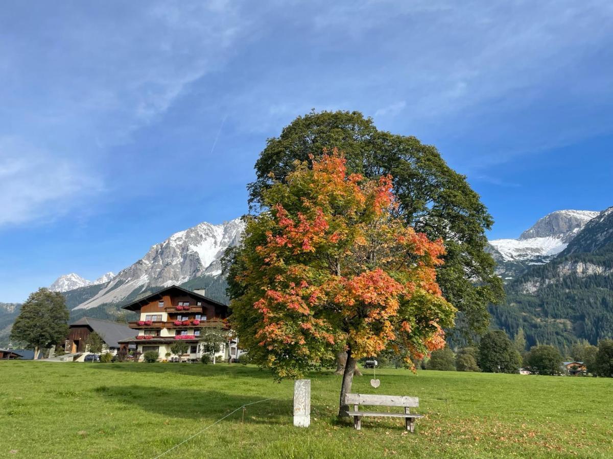 Pension Moeslehnerhof Ramsau am Dachstein Zewnętrze zdjęcie